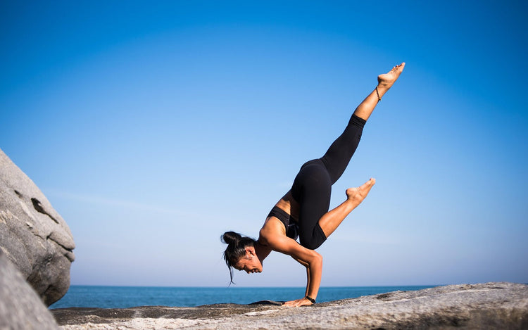 Fitness & Wellness