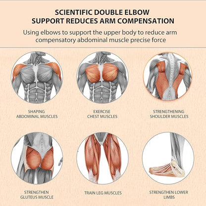 Belly Fat Crusher